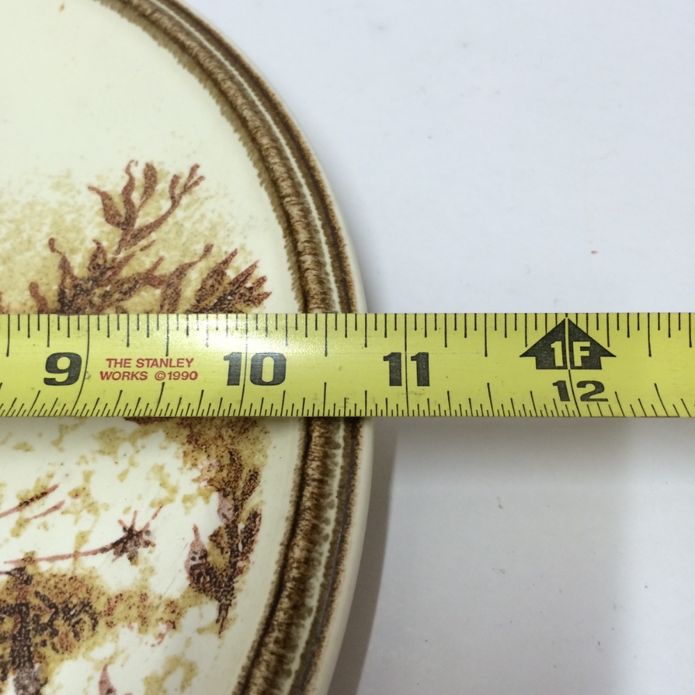 Vintage Mikasa Natures Gallery Over to Table Plate - Picture 7 of 7